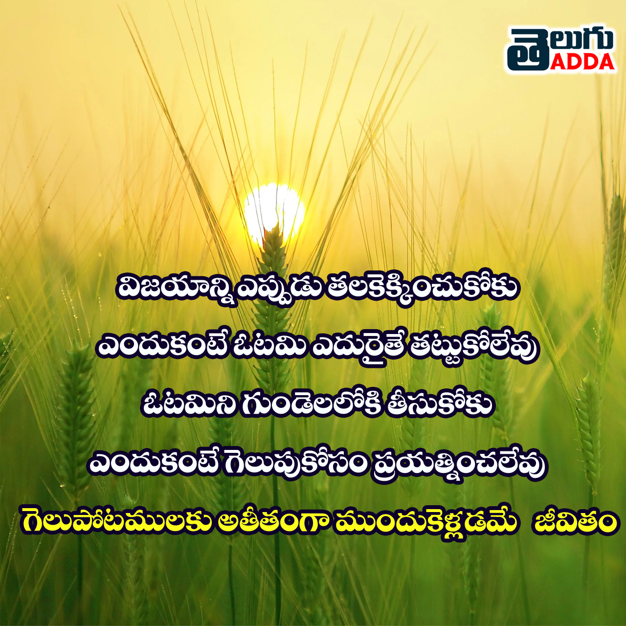 Best Telugu Whatsapp Quotes 2020