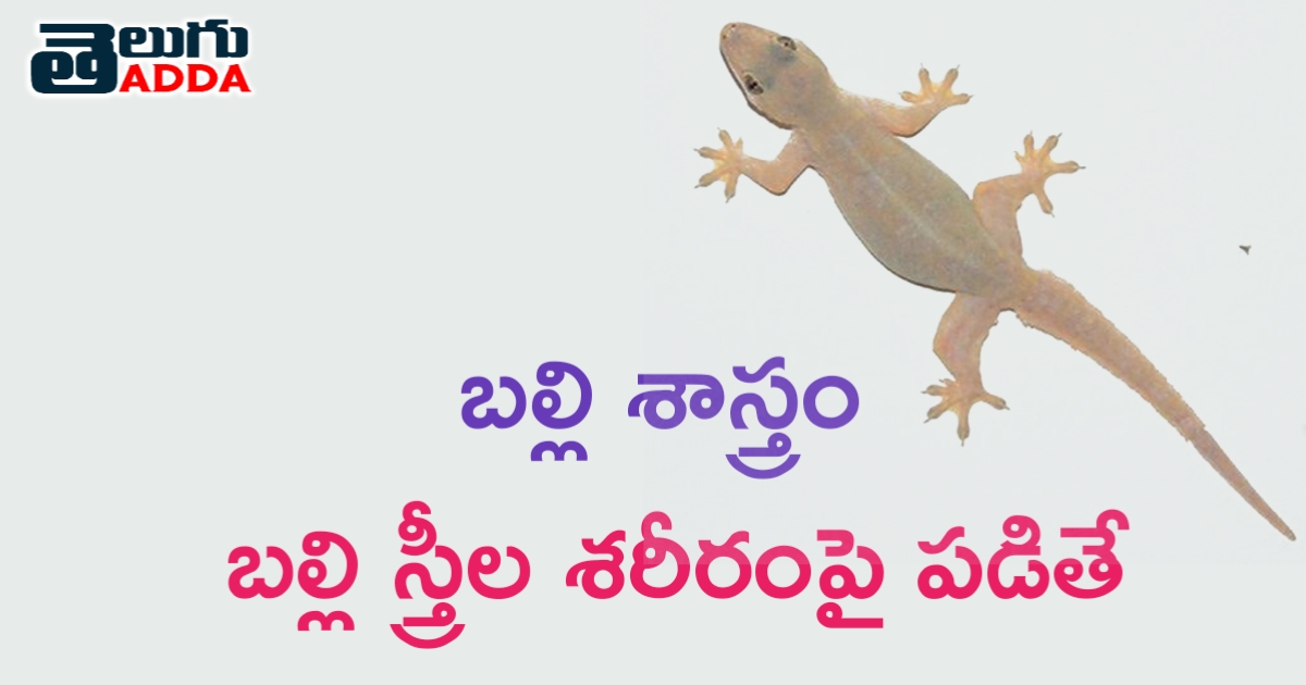 బల్లి స్త్రీల శరీరంపై పడితే:
