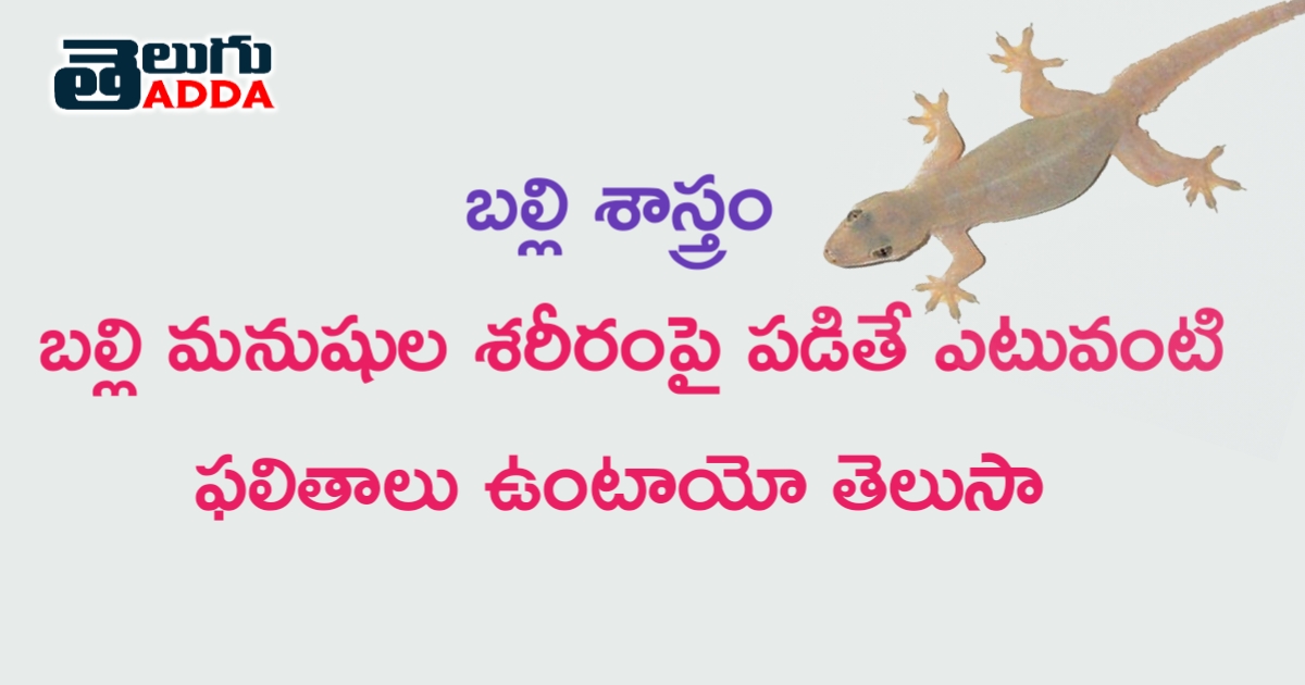 బల్లి మనుషుల శరీరంపై పడితే ఎటువంటి ఫలితాలు ఉంటాయో తెలుసుకుందాం.