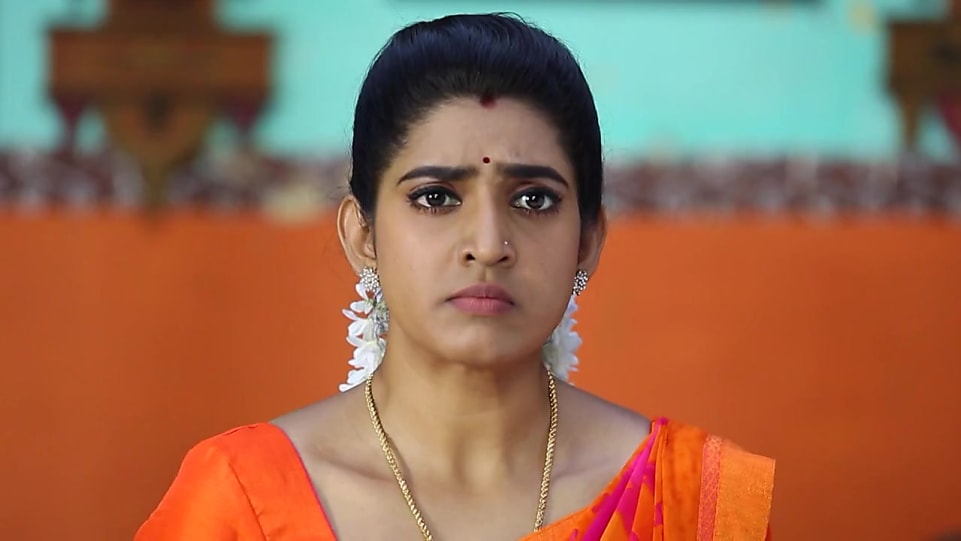 Adirindi Anchor Sameera Sherief serial images 