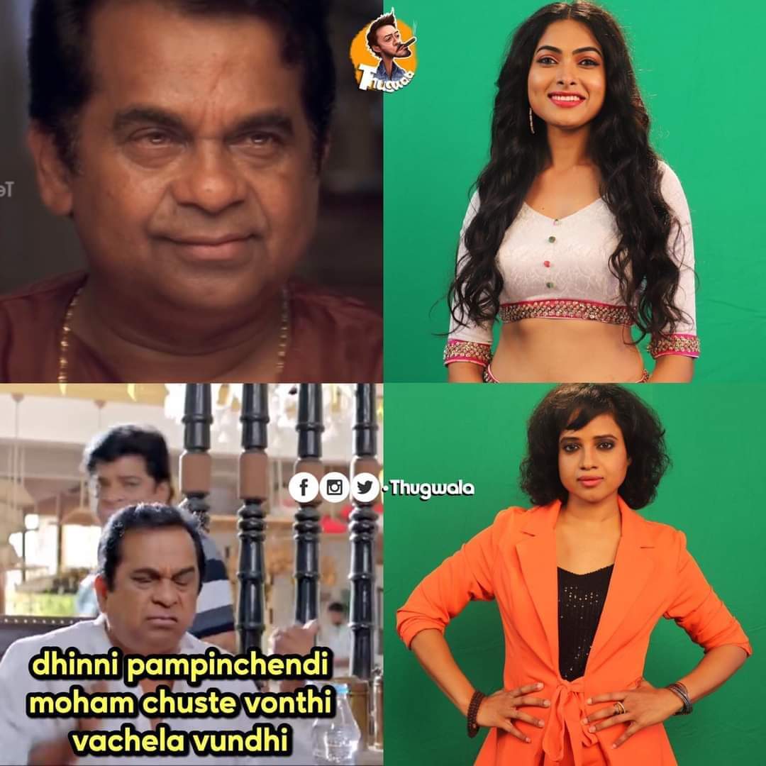 bigg boss 4 telugu memes