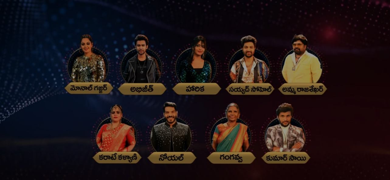 igg Boss 4 Telugu Nominations List – Elimination Week 2