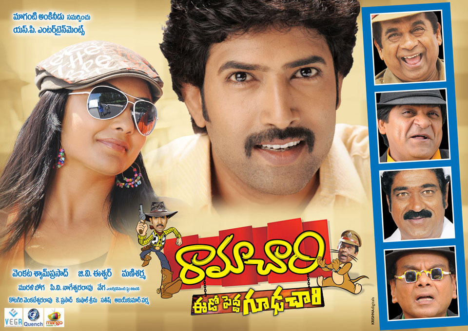 12 RamaChari Veedo Pedha Gudachari