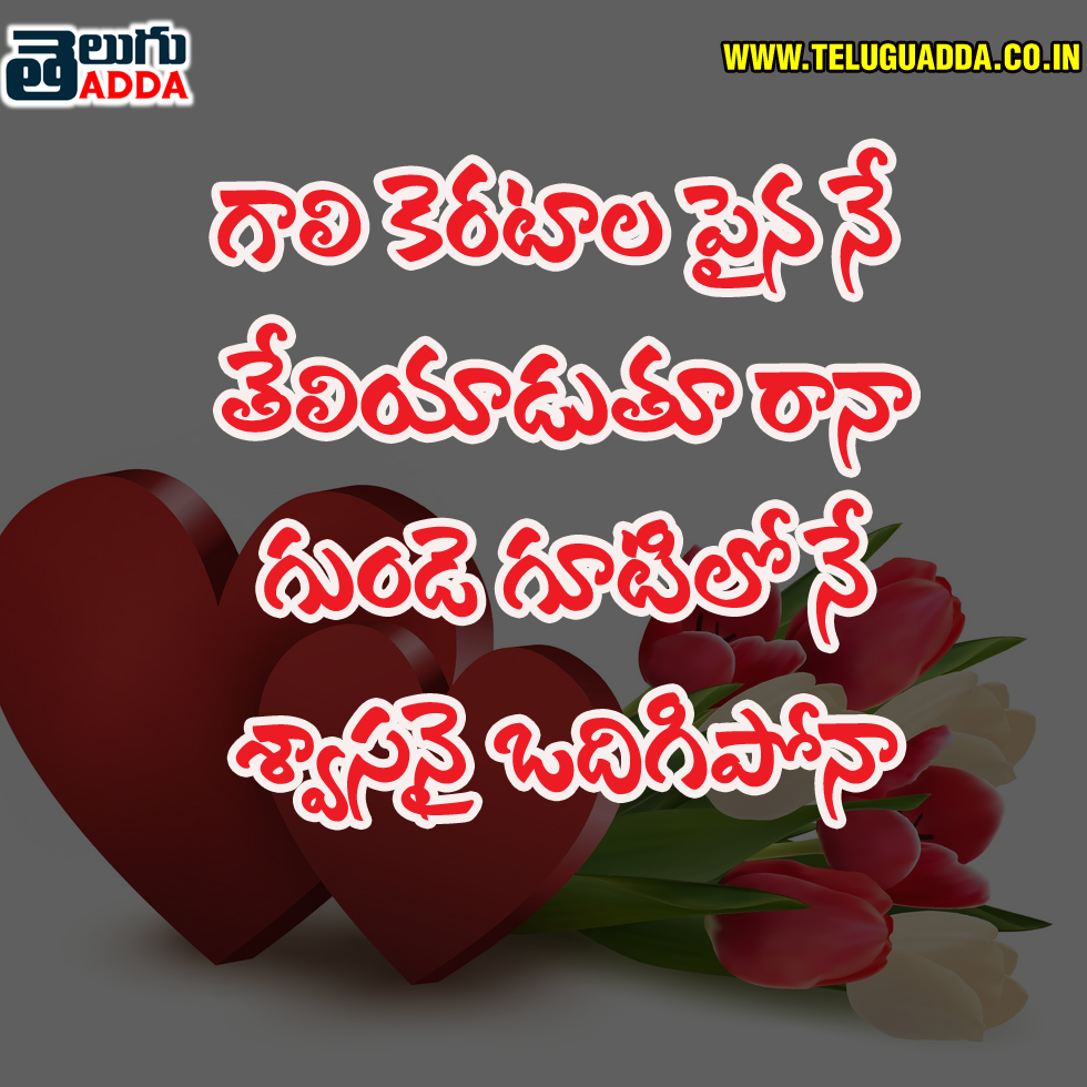 2021 Valentine Day Quotes In Telugu | 2021 Valentine Day Greetings In Telugu