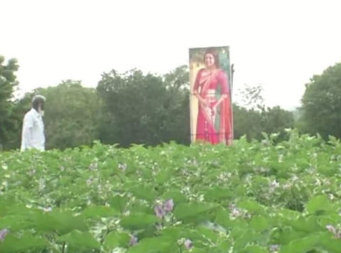 kajal flexi in crop