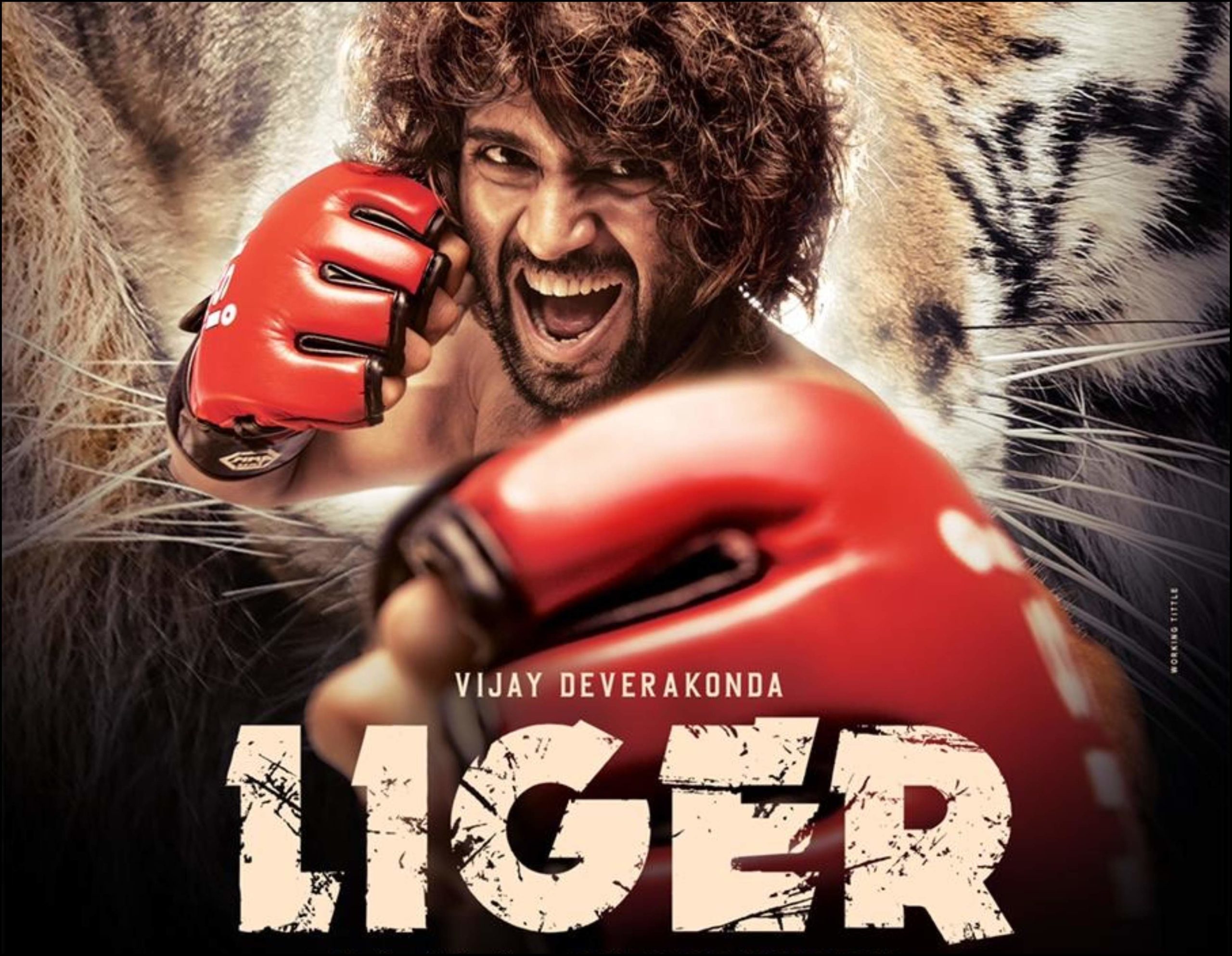 liger poster