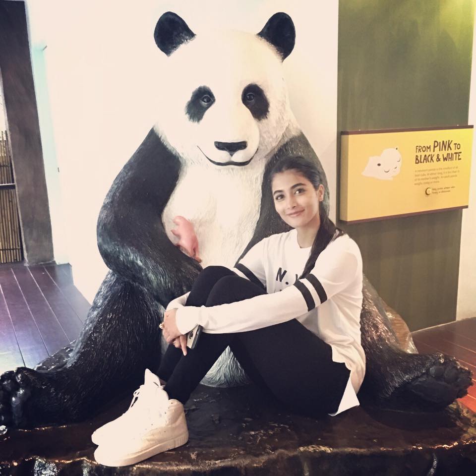 pooja hegde 28