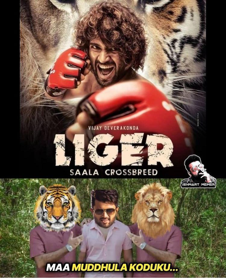 Trending Trolls On Vijay Devarakonda