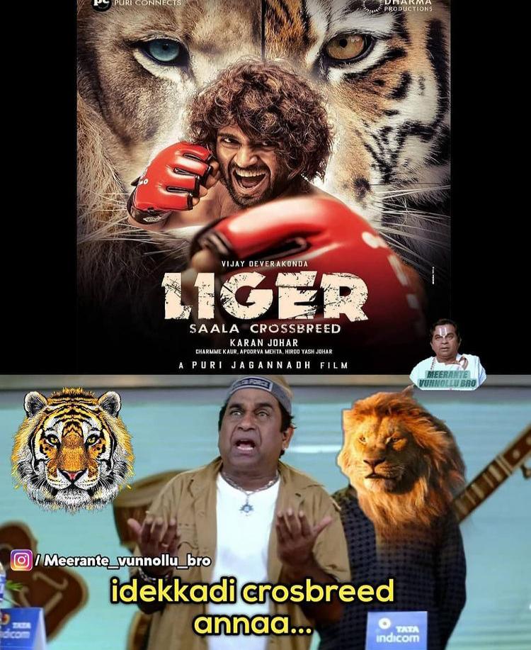 Trending Trolls On Vijay Devarakonda