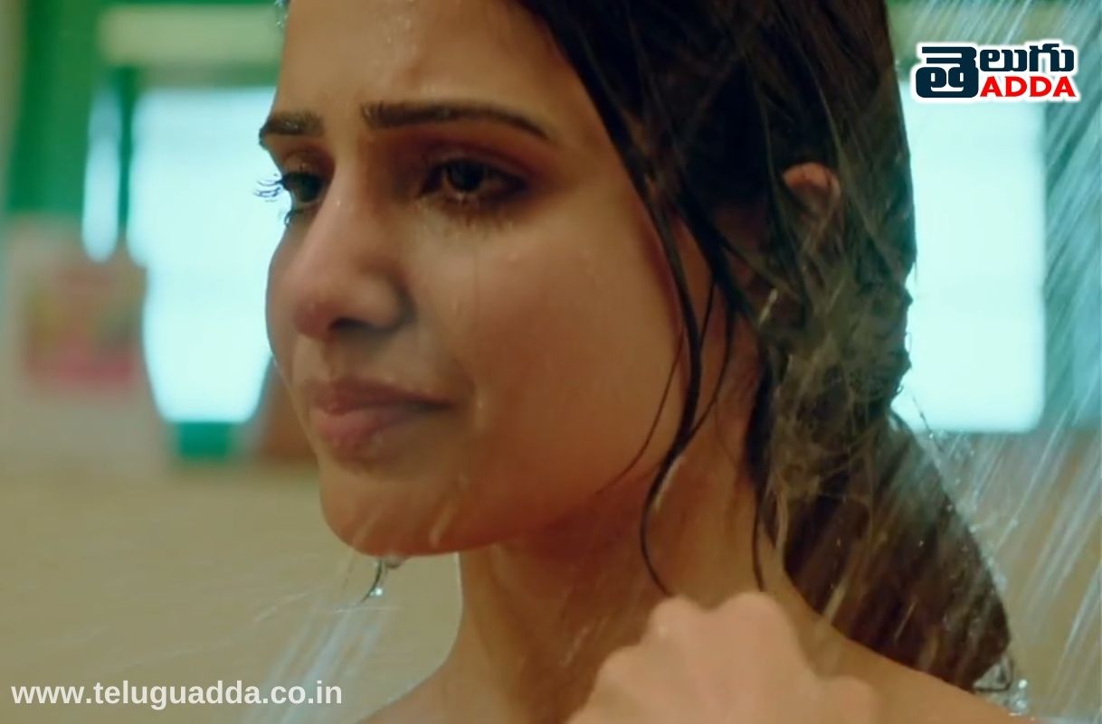 Majili movie mistake
