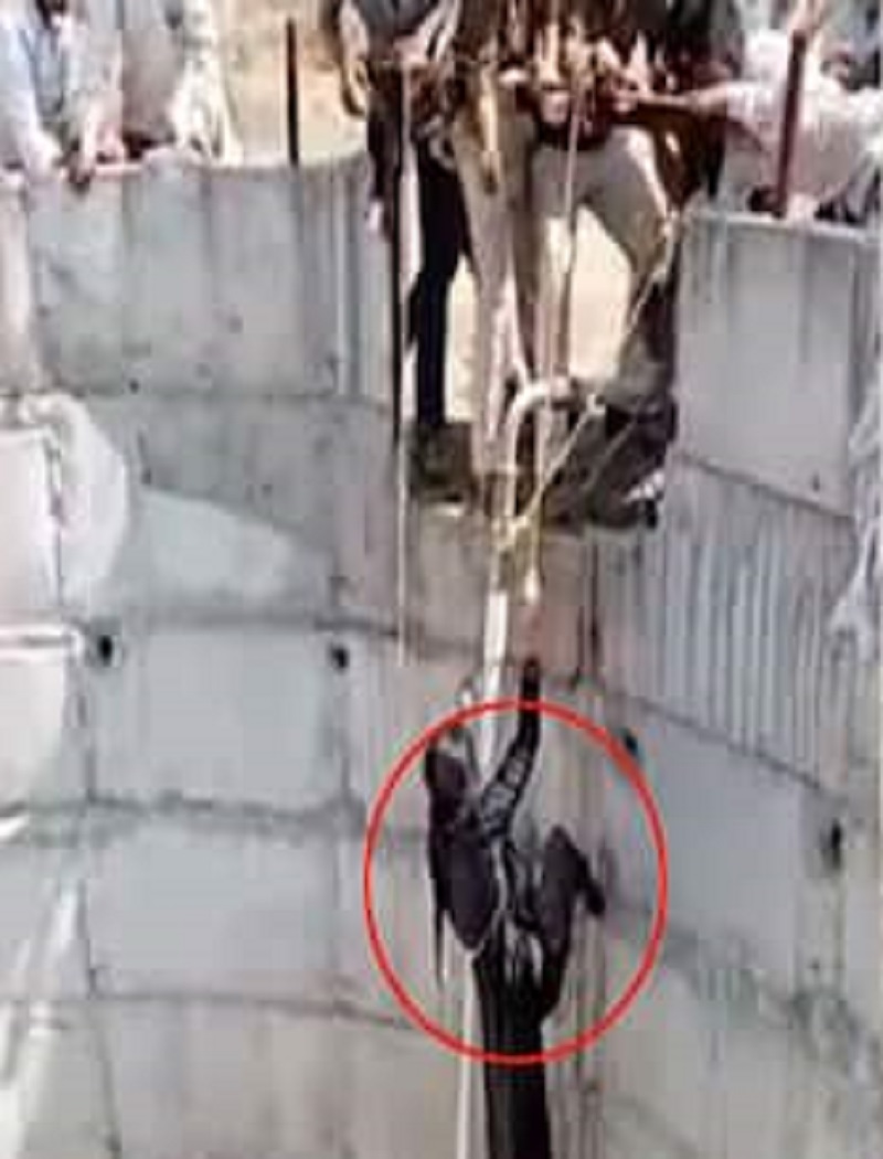 a girl fell into well while trying to take a selfie