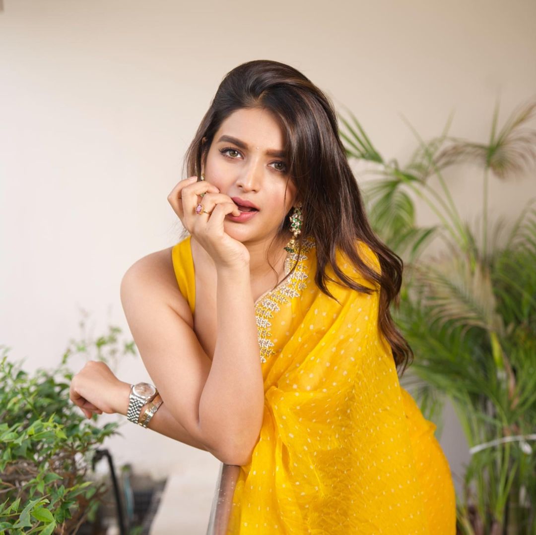 nidhi agarwal 2