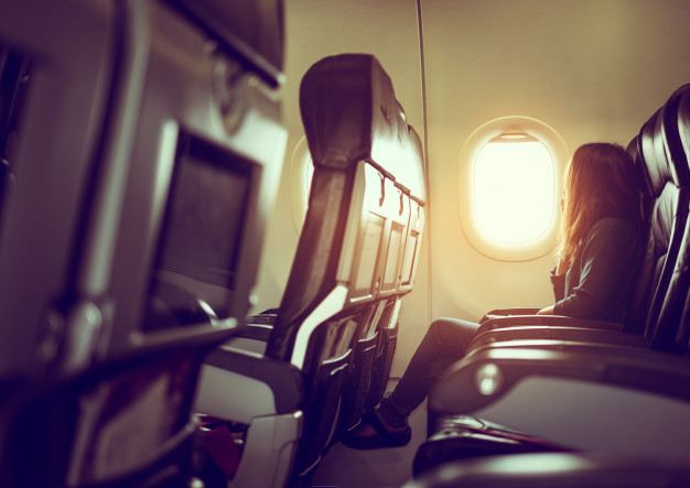 a lady in a flight story