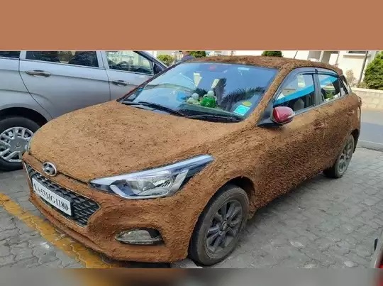 cow dung car 1