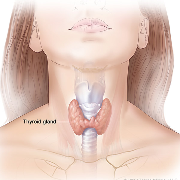 one minute spoon test thyroid