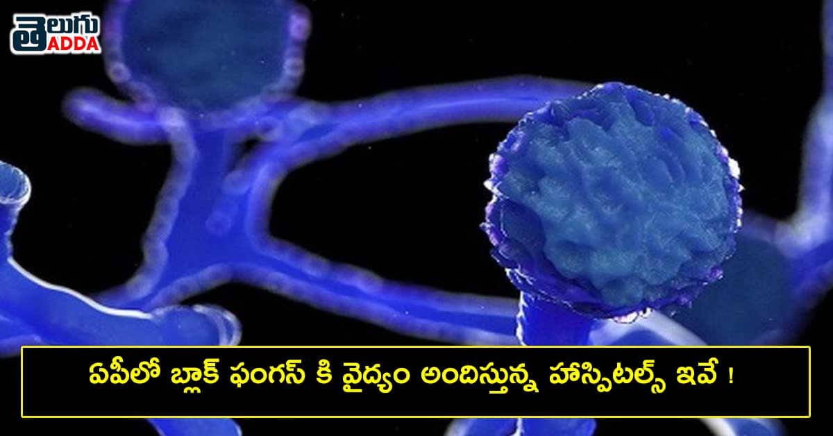 black-fungus-treatment-hopsitals (1)