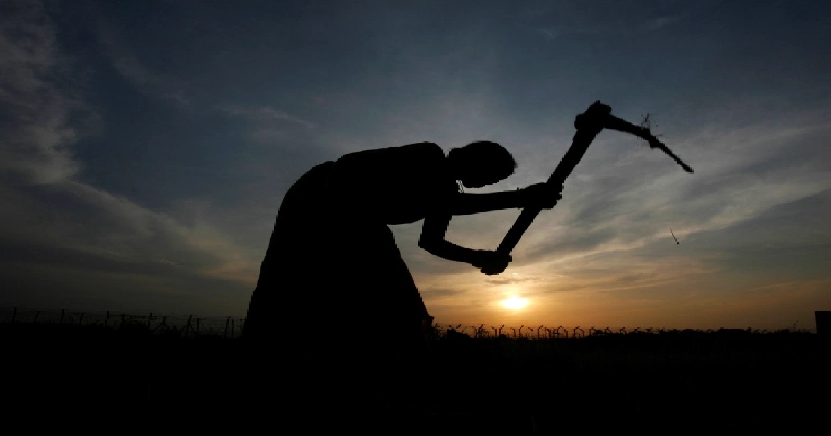 farmer