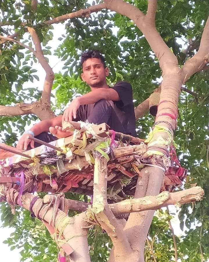 man sleeping on tree