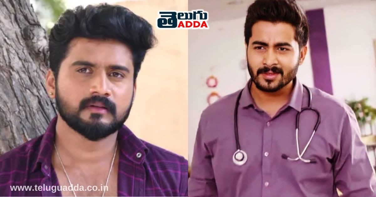 Brothers in telugu serial industry