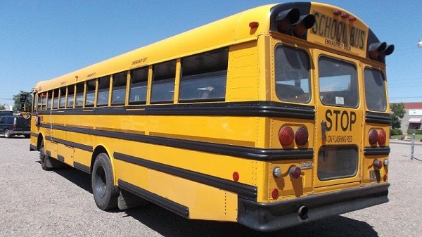 Ever wondered why does school buses have black color lines in the sides