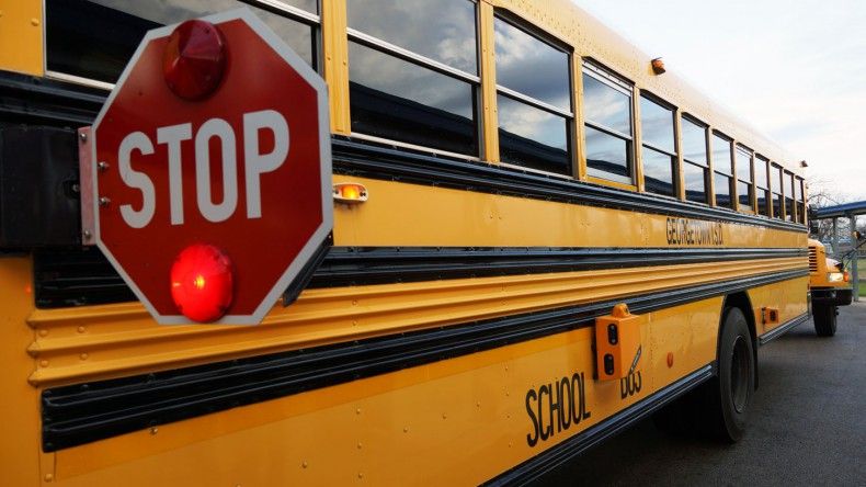 Ever wondered why does school buses have black color lines in the sides