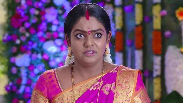 Karthika deepam serial director