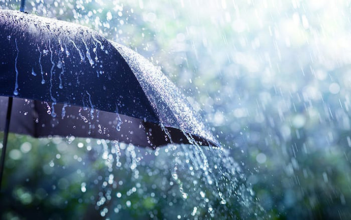 Food to take in rainy season to increase immunity