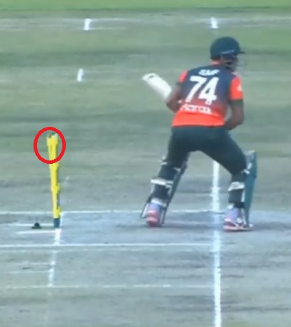 Ghost in Zimbabwe vs Bangladesh t20
