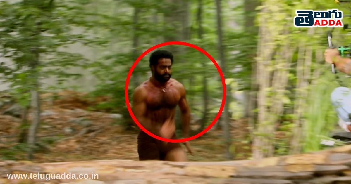 Unnoticed details in roar of rrr video