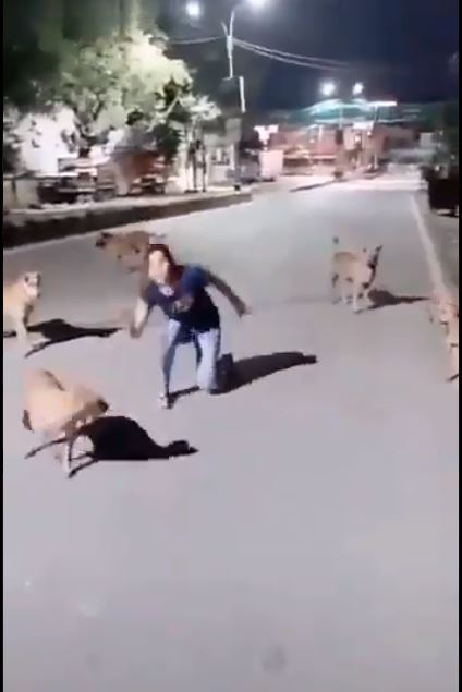 girl dance 2