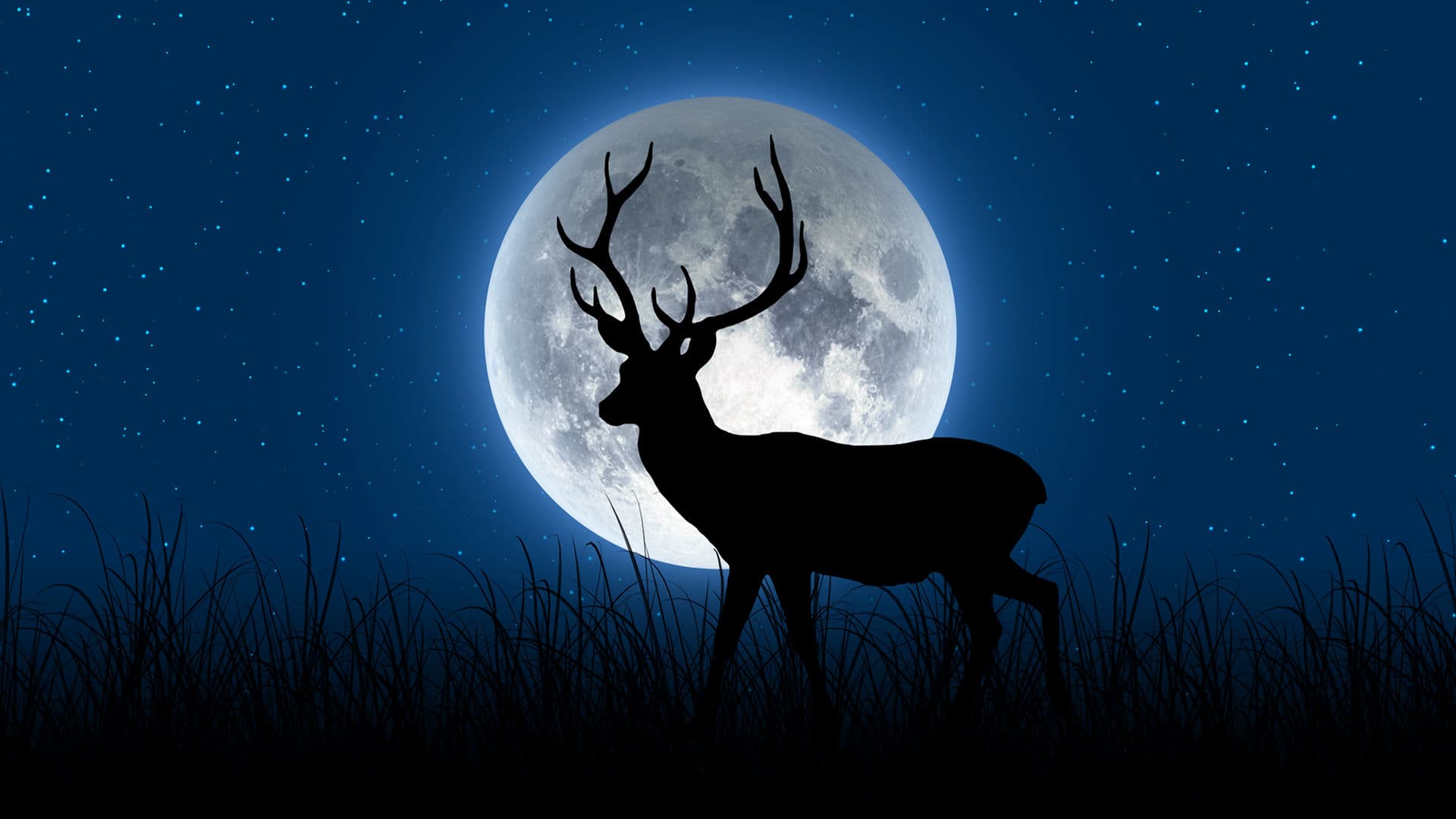 moon 2