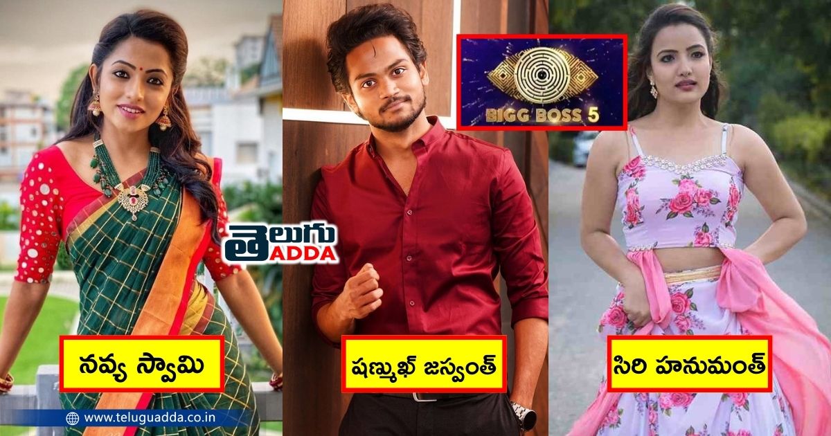 bigg boss 5 contestants