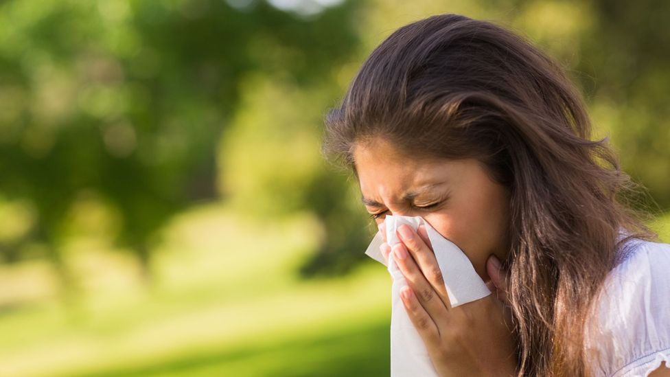 sneezing 2