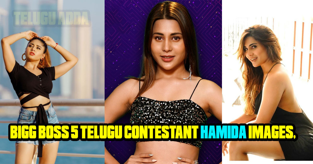 Bigg Boss Hamida images