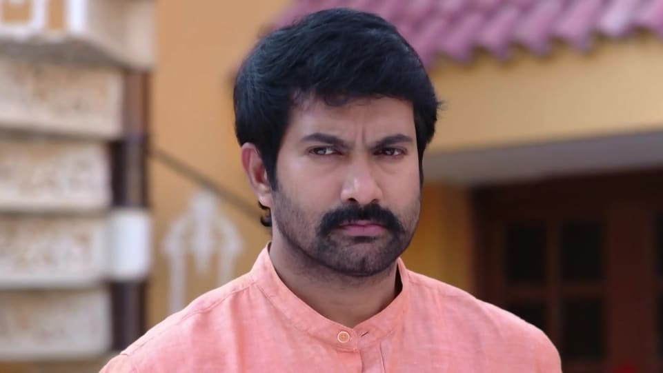Educational qualifications of serial actors