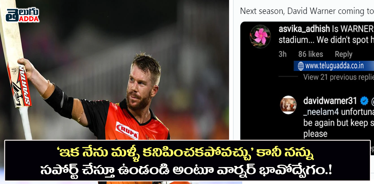 David Warner SRH Player