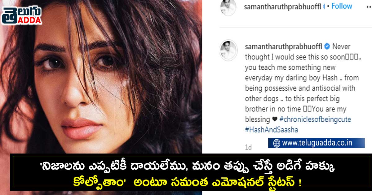 samantha-status