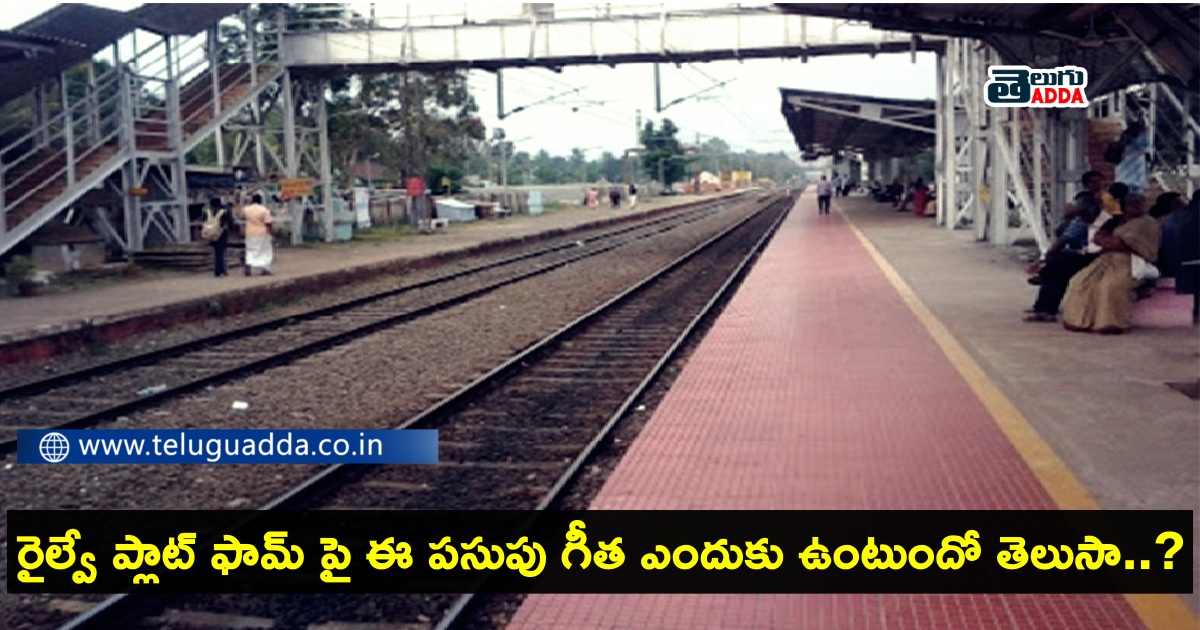 yellow line