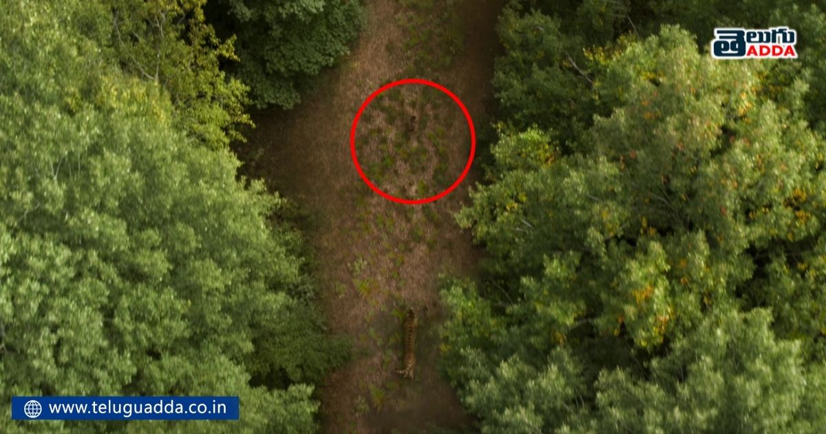Unnoticed details in rrr glimpse video