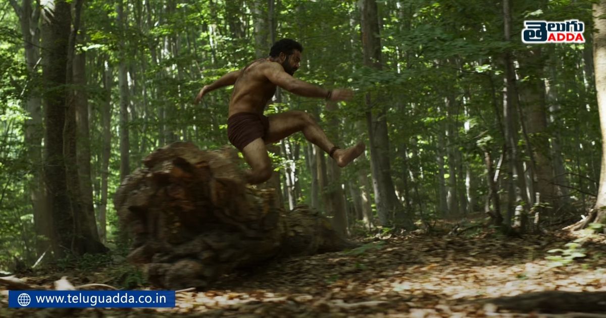 Unnoticed details in rrr glimpse video
