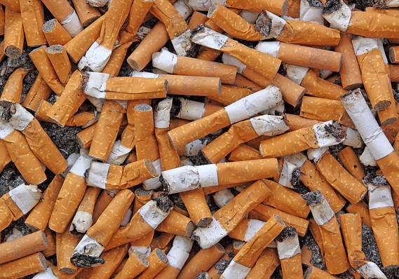 New Zealand government decision on cigarette smoking