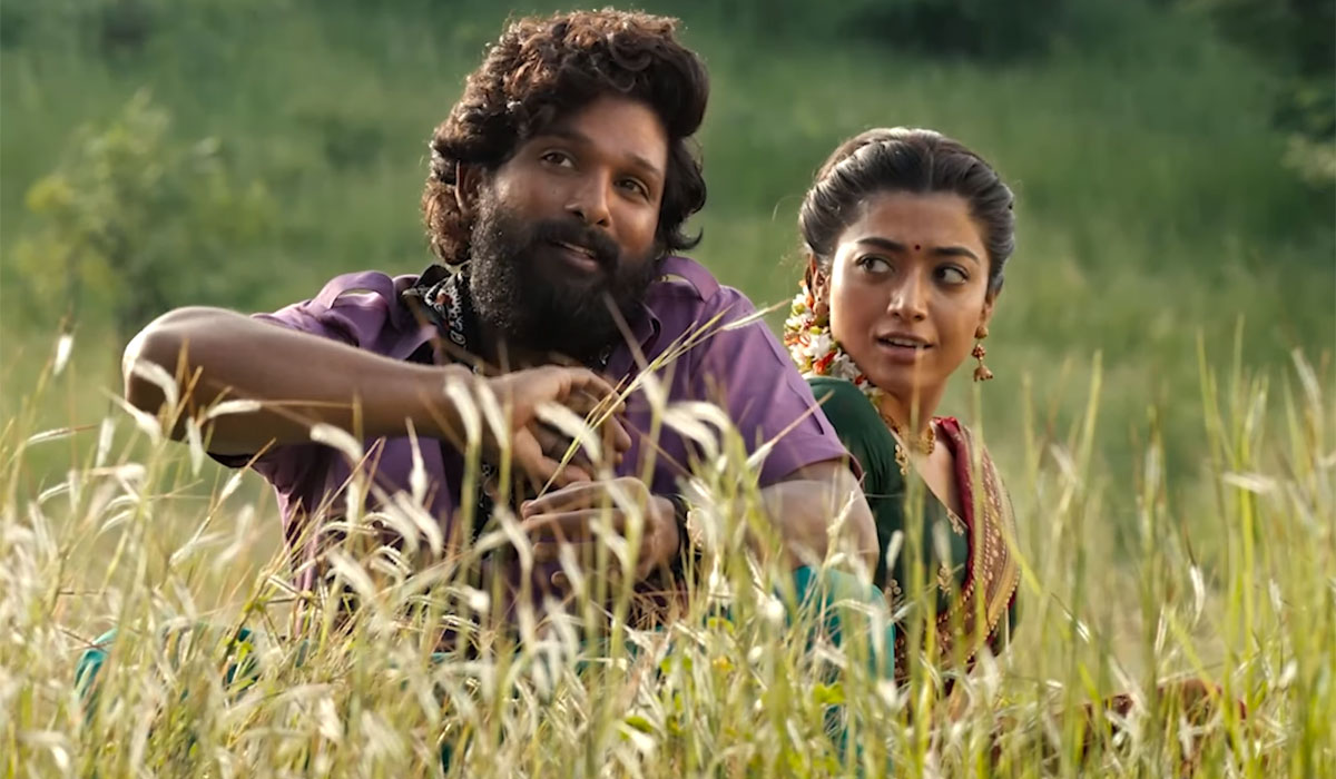 reasons behind pushpa negative talk