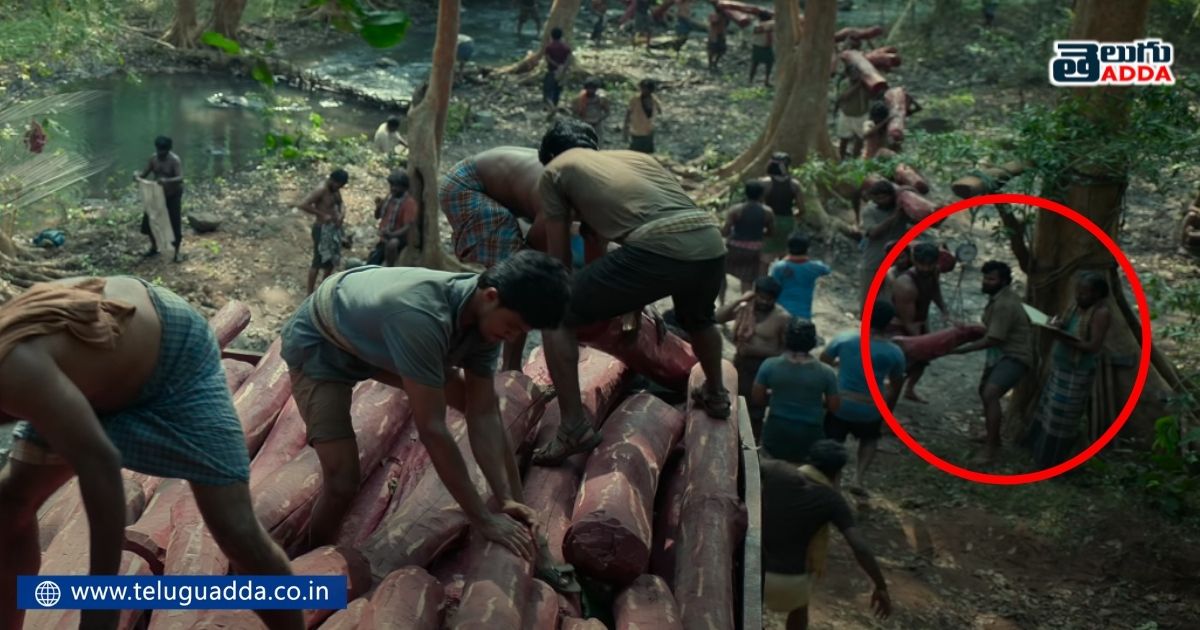 unnoticed details in pushpa trailer