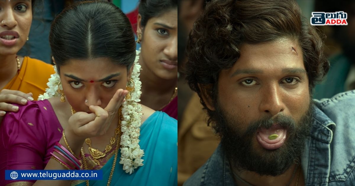 unnoticed details in pushpa trailer