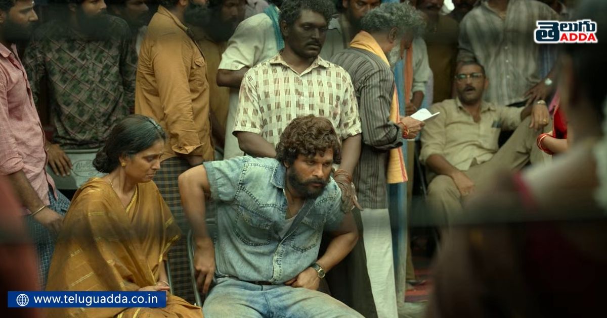 message that hero receives in pushpa