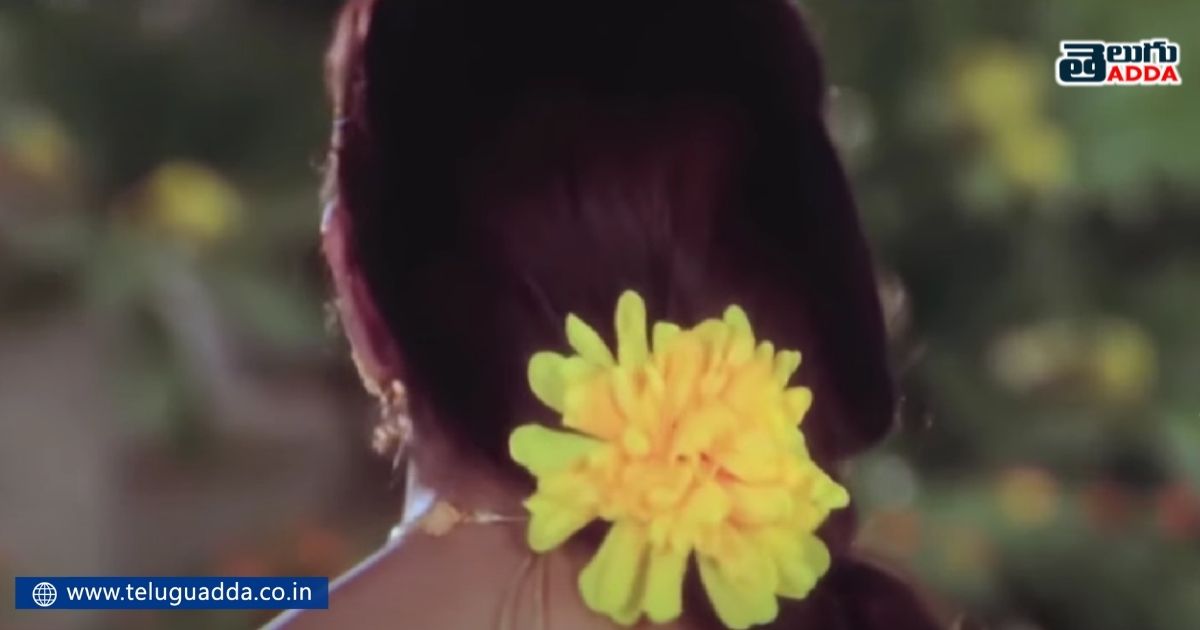 nuvvu naku nachav mistake 