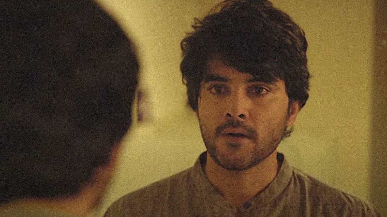 josh movie side artist now became a popular hero