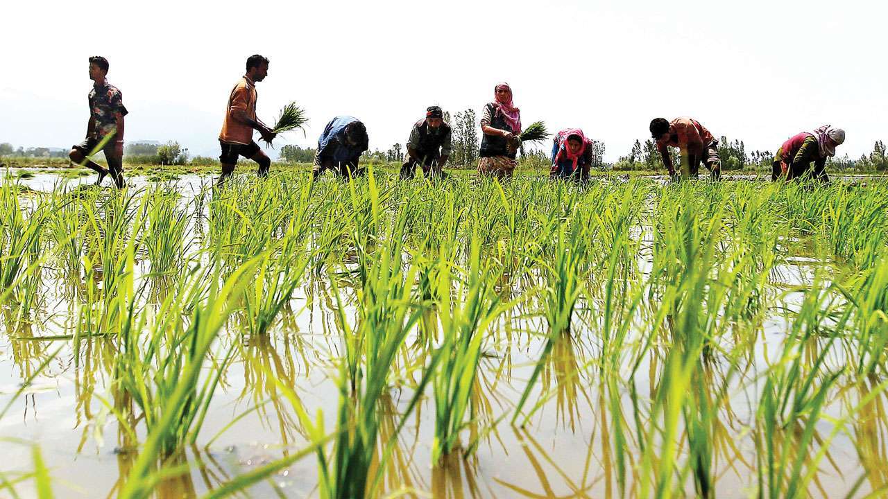 pm kisan 2
