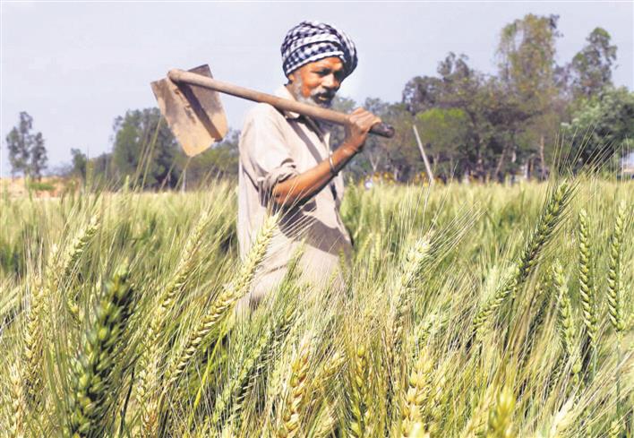 pm kisan 3