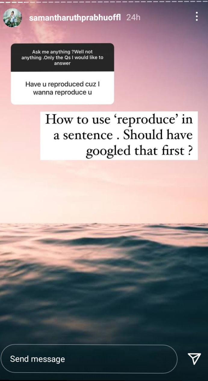 samantha strong counter to a netizen on instagram